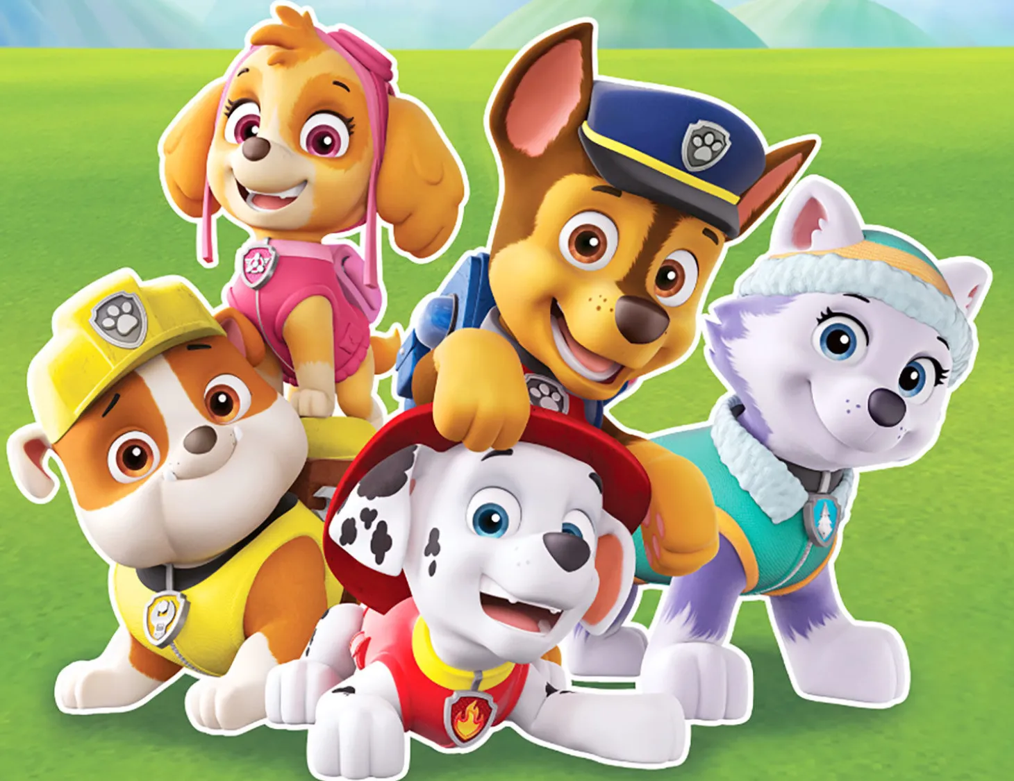 Bettwäsche mit den Helden von Paw Patrol