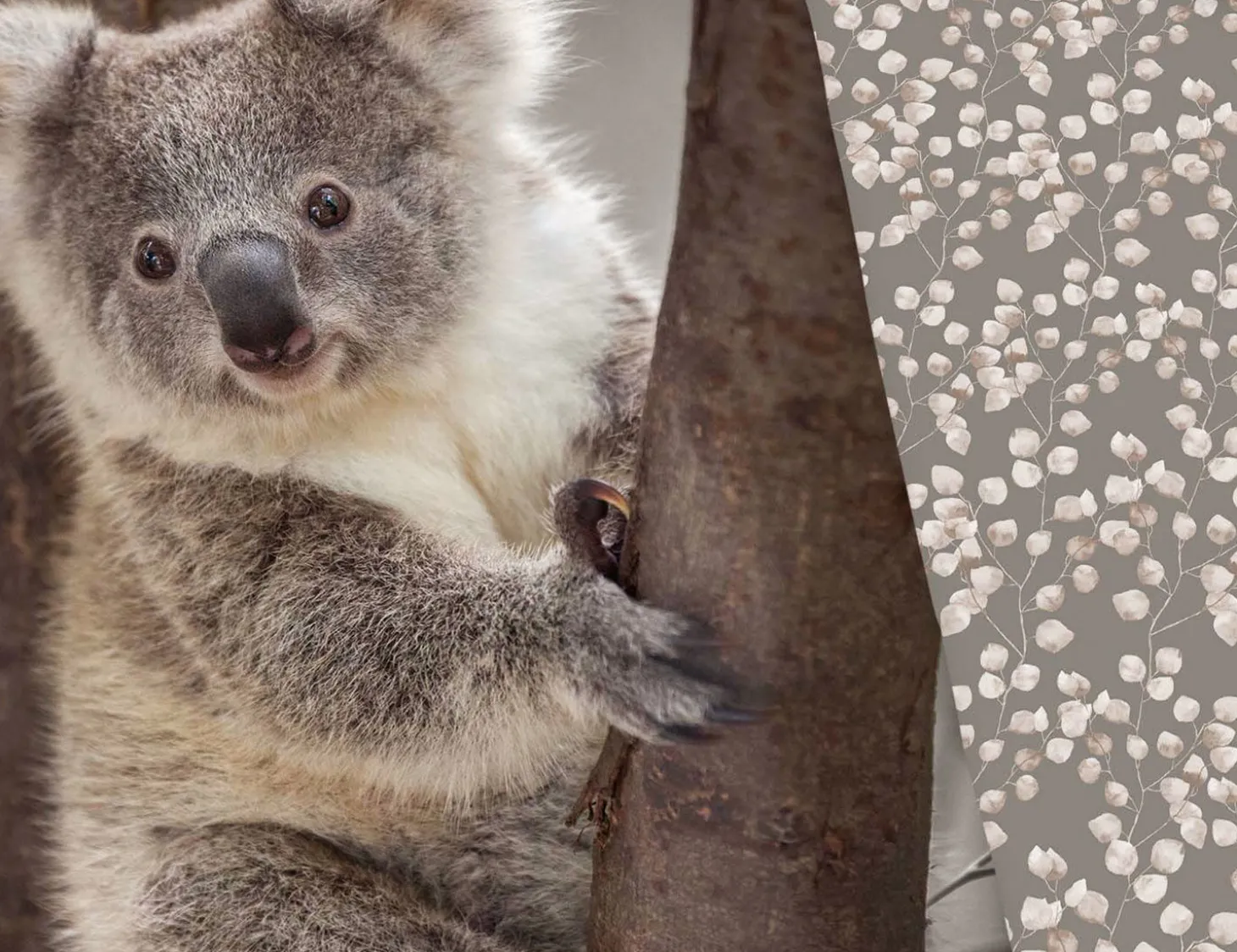 Bettwäsche mit süssem Koala auf Baumstamm