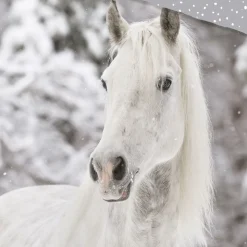 Bettwäsche mit Winterpferd