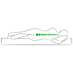 Dreamolino Swan Pillow Komfort Kissen