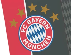 FC Bayern Bettwäsche Mia San Mia