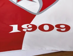 FC Sion Bettwäsche