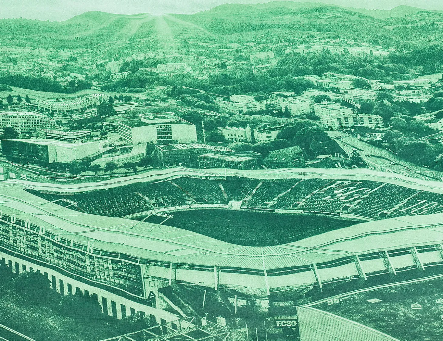 FC St. Gallen Bettwäsche