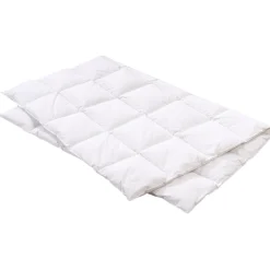 Ganzjahresduvet Swiss Edition 90 Medium