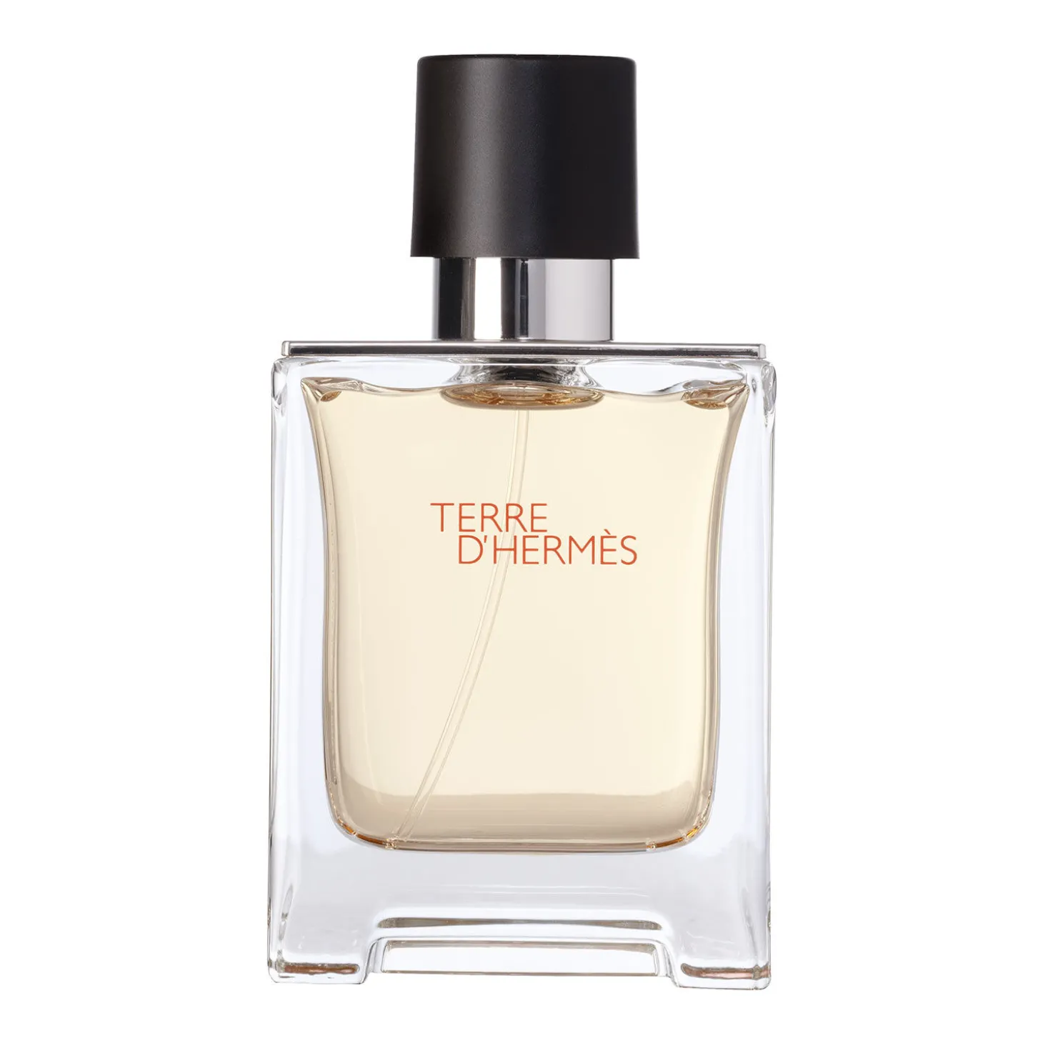Hermès Terre d’Hermès Eau de Toilette, 50 ml