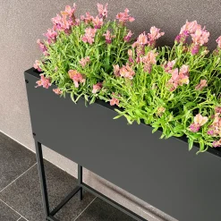 Hochbeet
