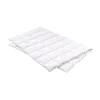 Leichtduvet Swiss Edition 90 light