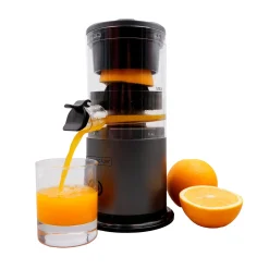 Livington Juice Boost Mini-Entsafter