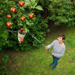 Obstsammler 2in1 mit Teleskopstiel
