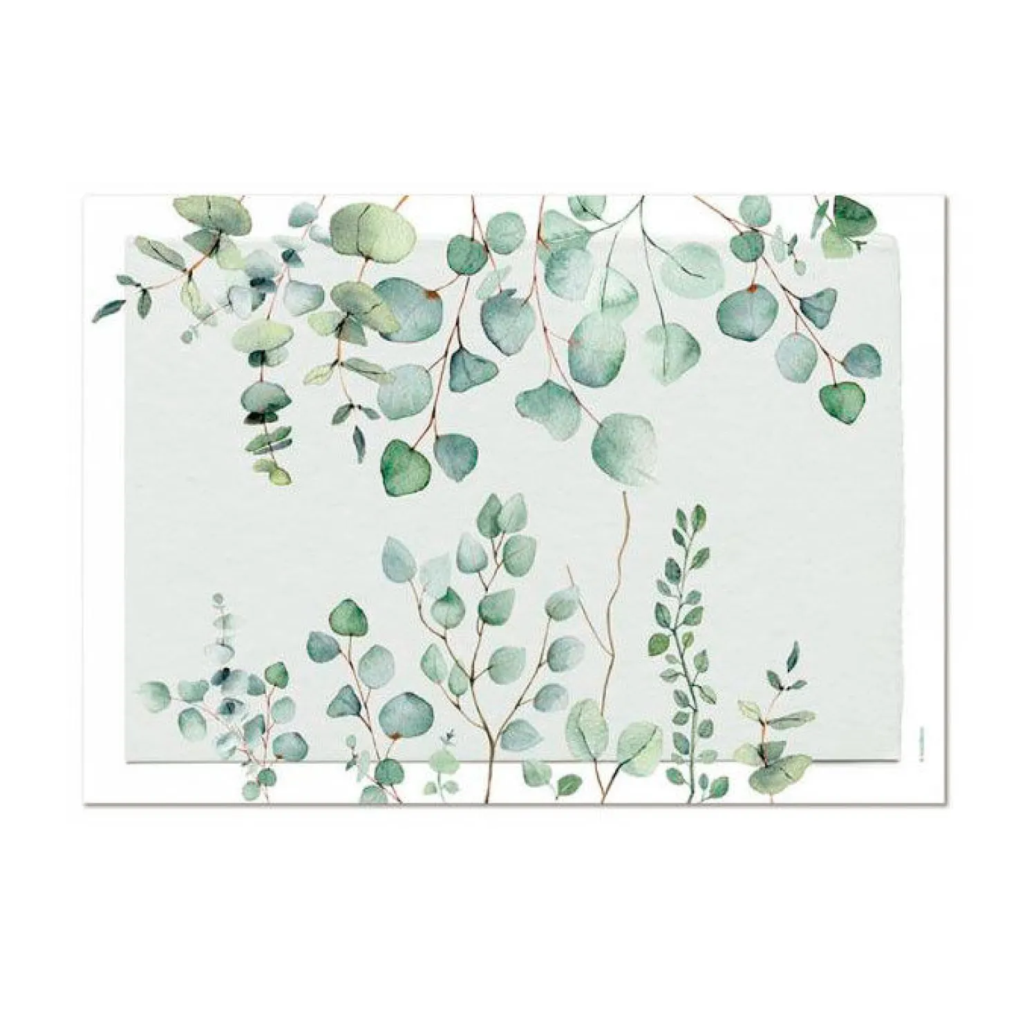 Papiertischset Eucalyptus