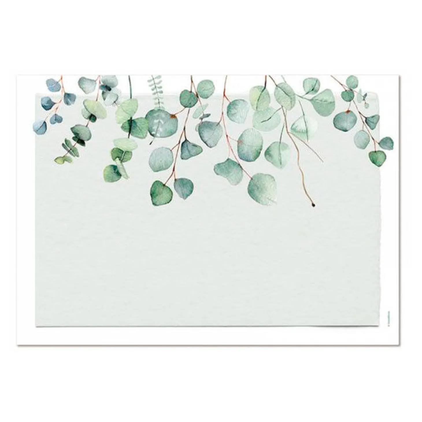 Papiertischset Eucalyptus