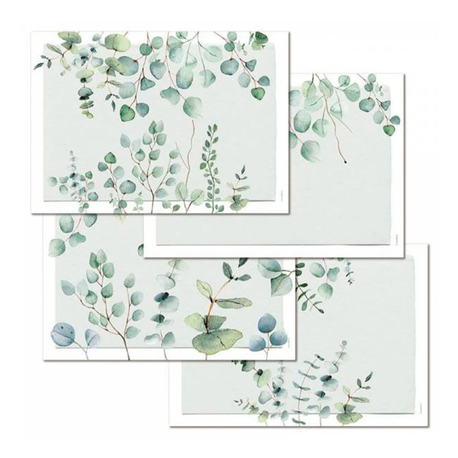 Papiertischset Eucalyptus