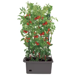 Pflanzbox