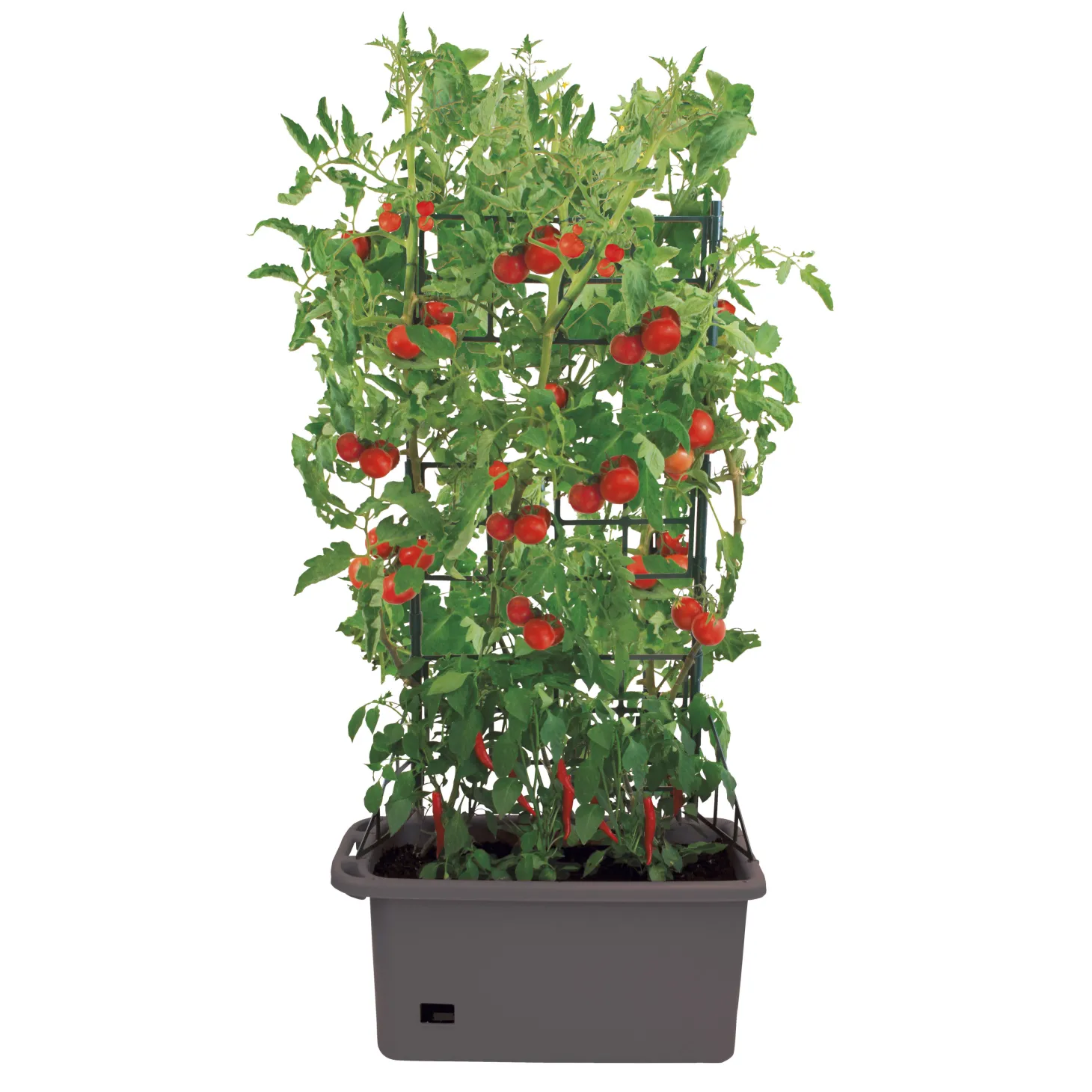 Pflanzbox