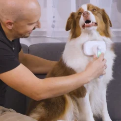 PiddiPet Tierhaarbürste IonBrush