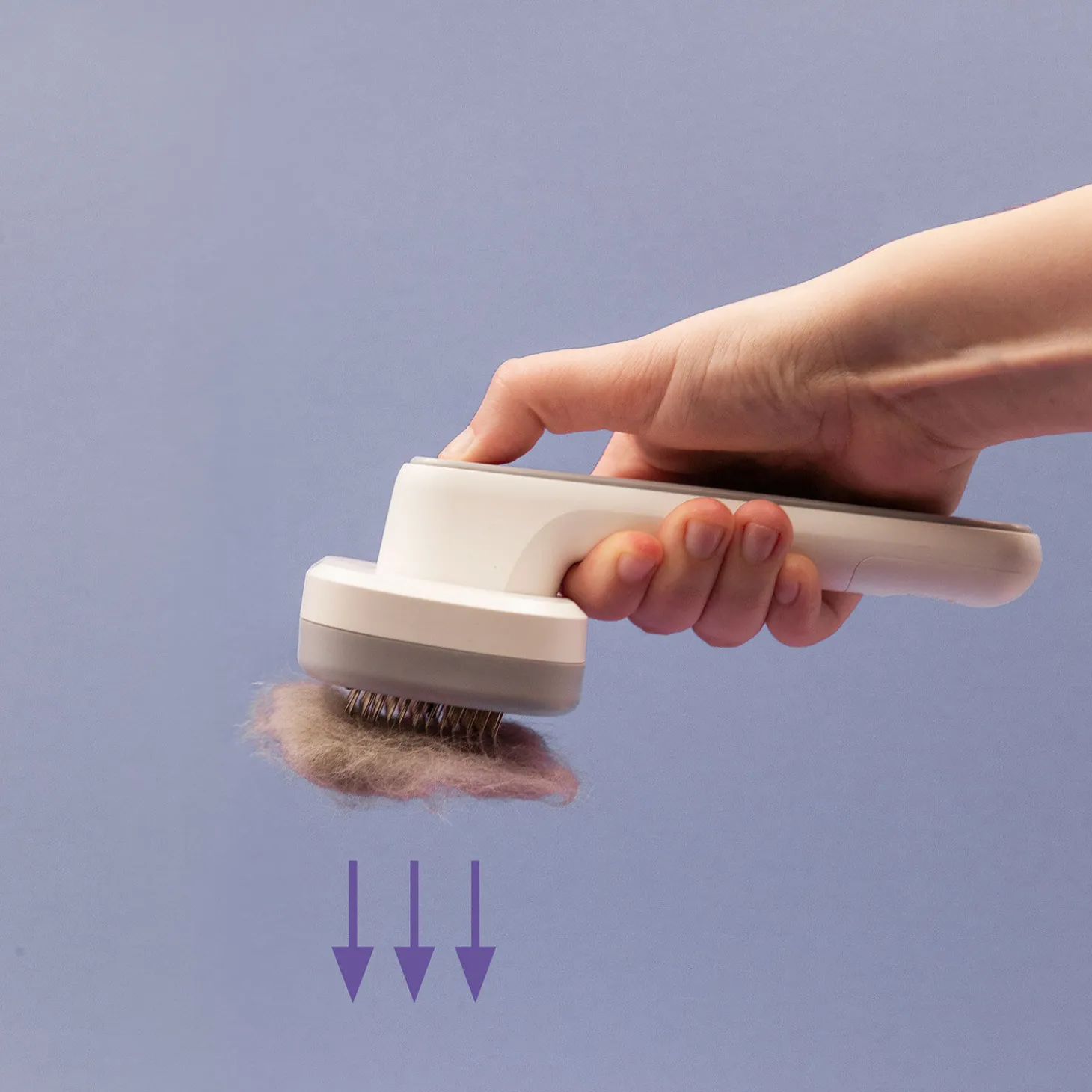 PiddiPet Tierhaarbürste IonBrush