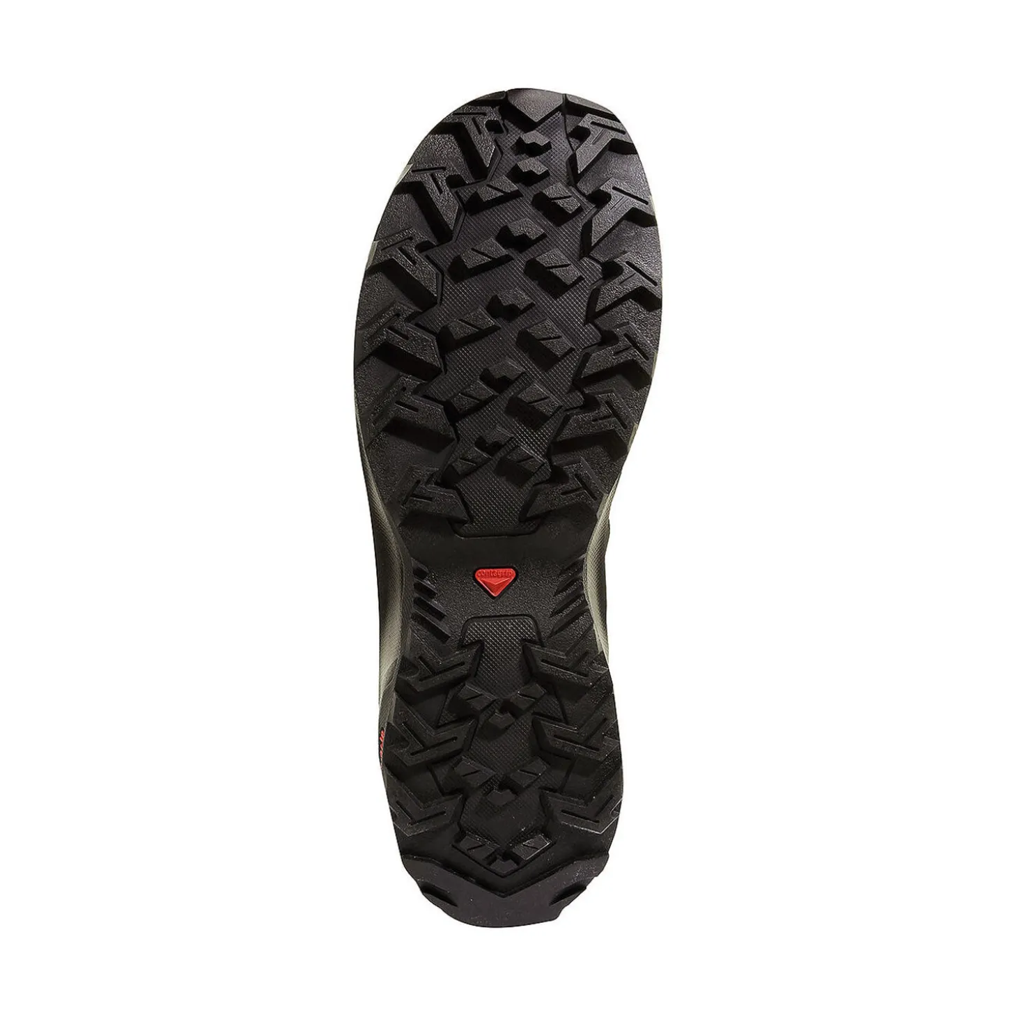 Salomon Daintree Mid GTX Outdoorschuh für Herren
