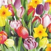 Servietten Bouquet of Tulips