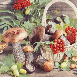 Servietten Fall Season