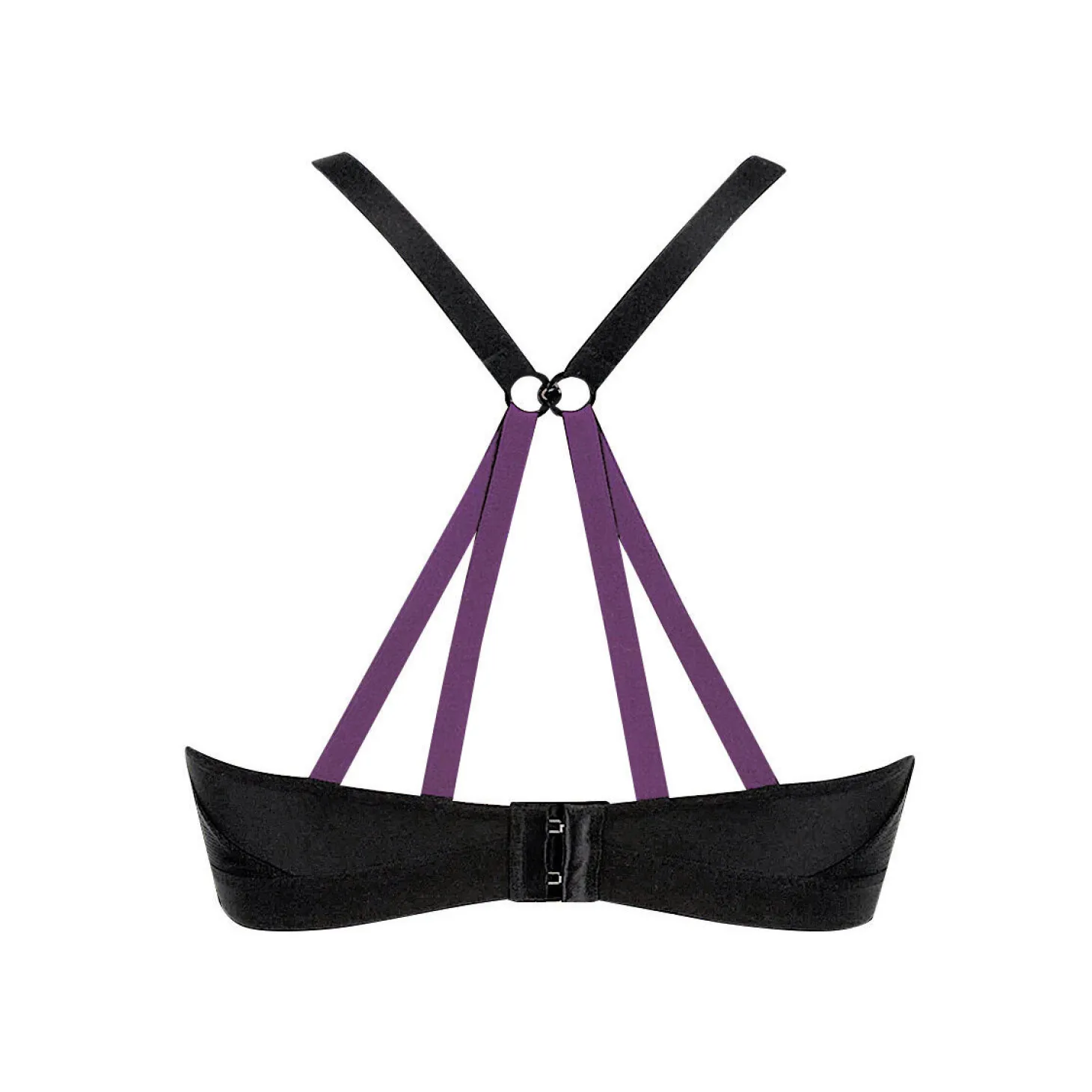 Triumph Sport BH Triaction Free Motion