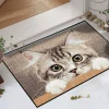 Türmatte Katze