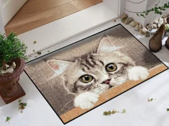 Türmatte Katze