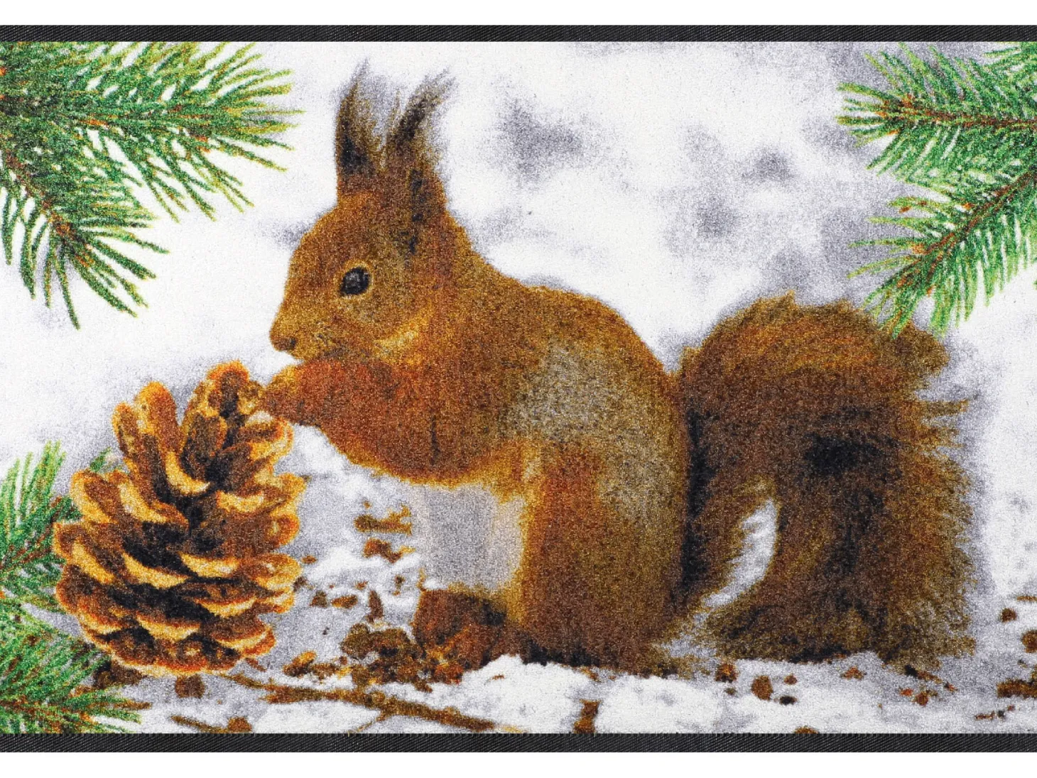 Türvorlage Eichhörnchen 50x75 cm