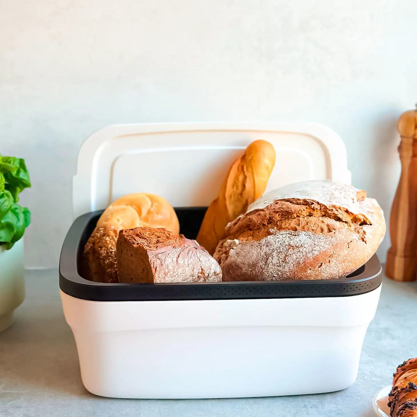 Tupperware™ BreadSmart Brot-Box