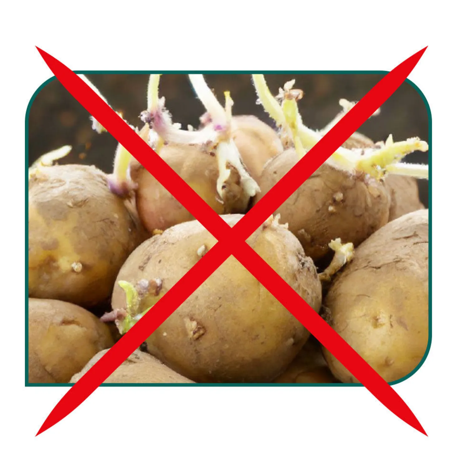 Tupperware™ PotatoSmart aus der PantrySmart-Serie
