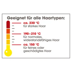 Vitalmaxx Hair Styler für Locken & Glatte Haare
