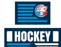 ZSC Lions Bettwäsche "Hockey Champion"